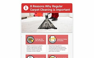 8 Reasons Why Regular Carpet Cleaning is Important