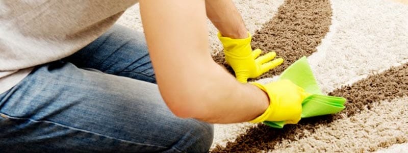 blot rub stain rug carpet singapore
