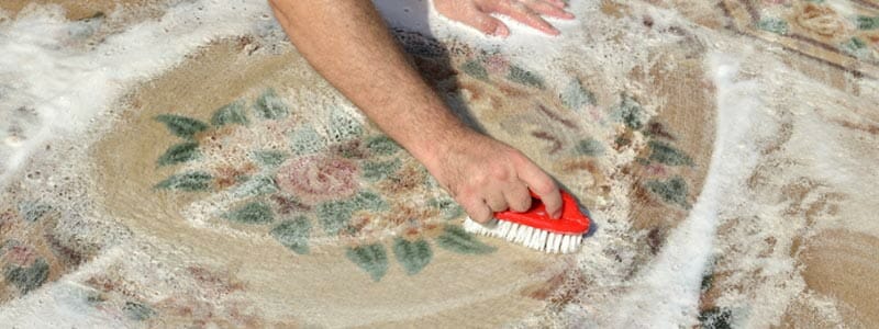 diy deep rug cleaning singapore