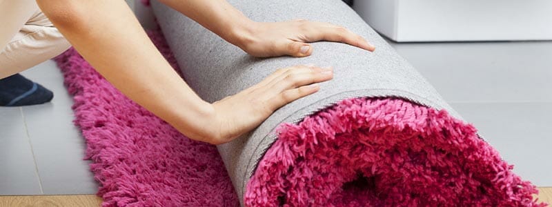 rotate rugs regularly clean rug carpet singapore