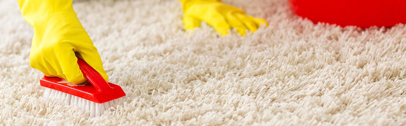 All Carpet Cleaning Methods Are the Same